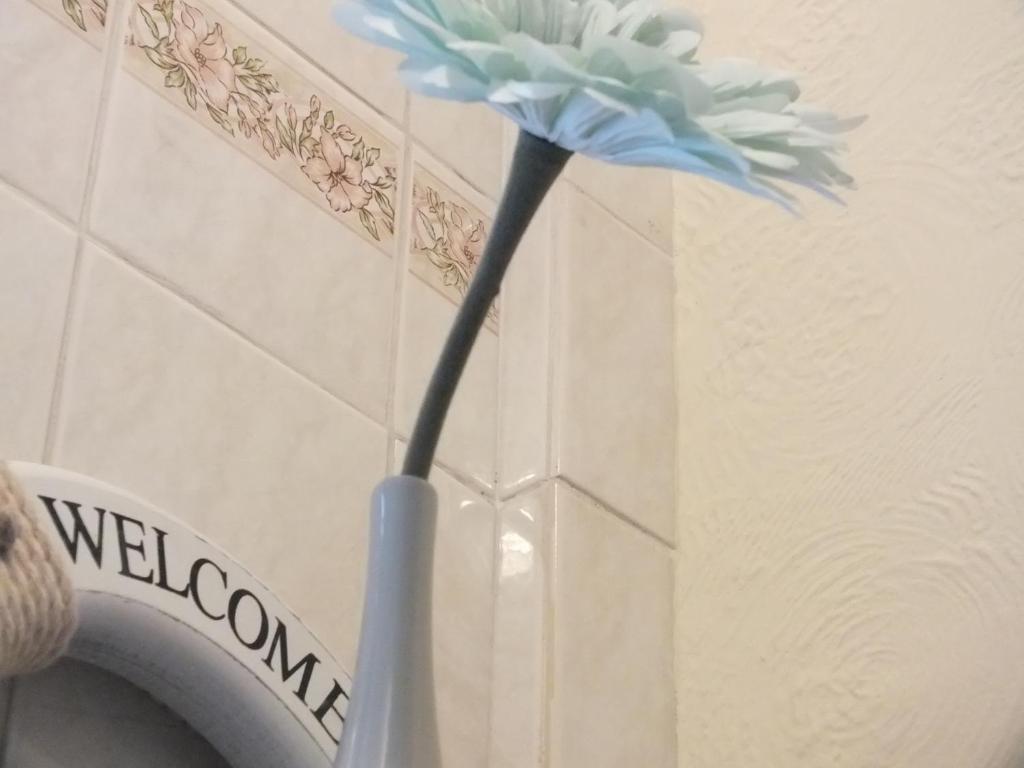 Leonardos Guest House Суонзи Стая снимка